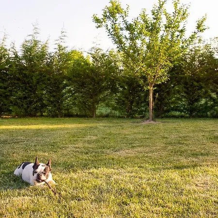 Апартаменты All'antico Brolo