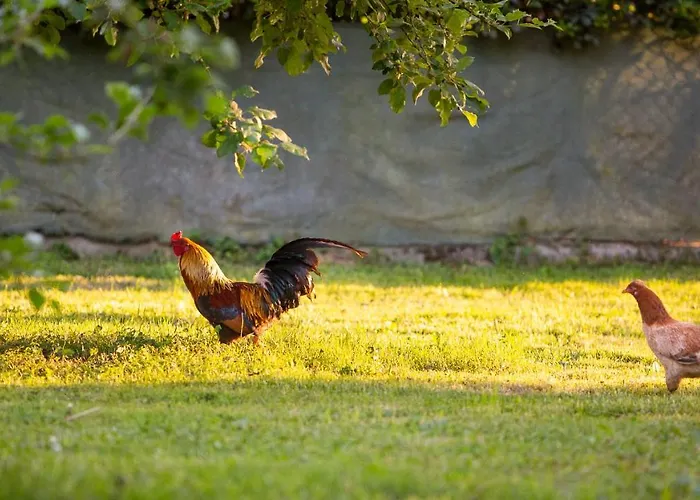 Antico Brolo Vicenza